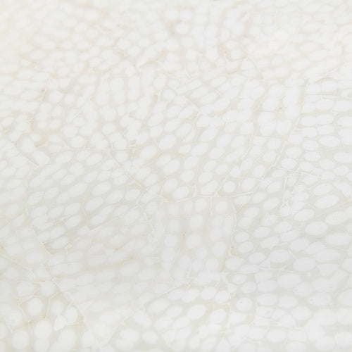 Carrel Side Table, White